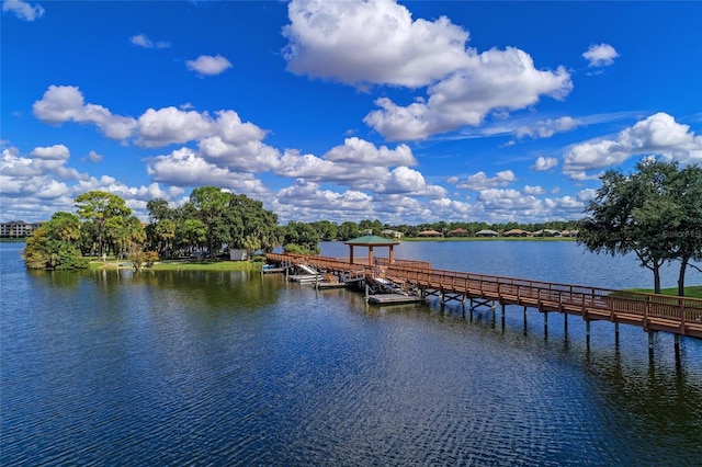 6536 Moorings Point Cir Unit 101, Lakewood Ranch, FL 34202 - photo 67