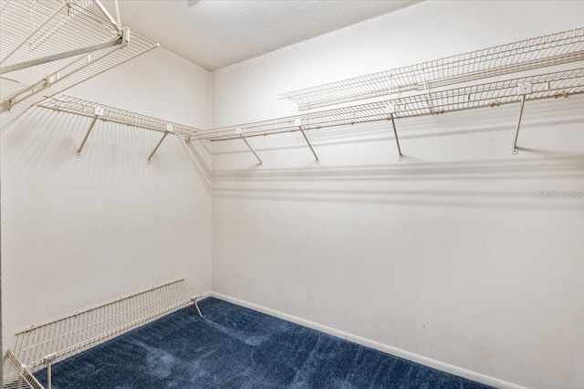 2708 Wilkinson Rd, Sarasota, FL 34231 - spacious closet featuring dark colored carpet