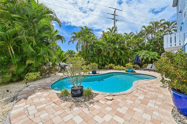 202 75th St, Holmes Beach, FL 34217 - swimming pool with a patio