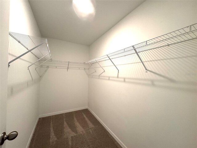 5812 Ocean Isle Dr, Nokomis, FL 34275 - spacious closet featuring carpet flooring