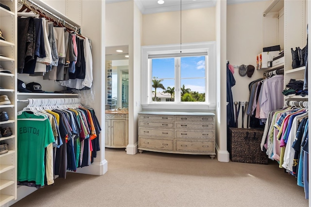 309 Ringling Point Dr, Sarasota, FL 34234 - spacious closet with carpet floors and a towering ceiling
