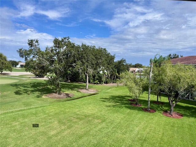 6505 Stone River Rd Unit 309, Bradenton, FL 34203 - surrounding community featuring a lawn