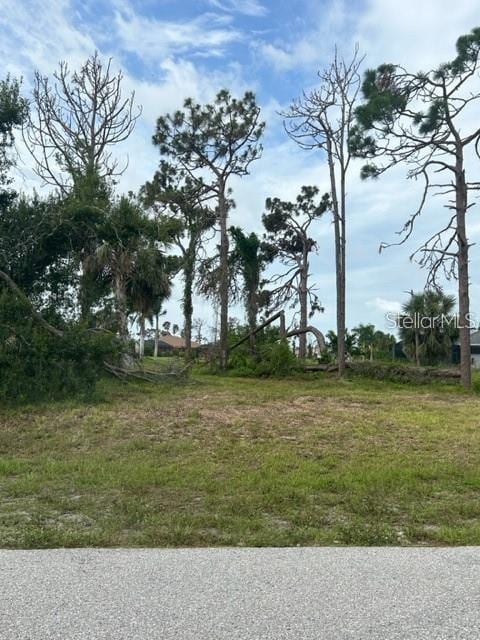 23 Medalist Cir, Rotonda West, FL 33947 - photo 4