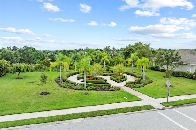 4654 Claremont Park Dr, Bradenton, FL 34211 - view of property's community with a yard and view of scattered trees