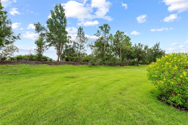 4654 Claremont Park Dr, Bradenton, FL 34211 - view of green lawn