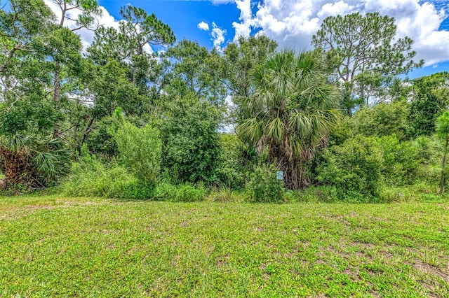3602 Secret Stroll Dr, Sarasota, FL 34240 - view of yard