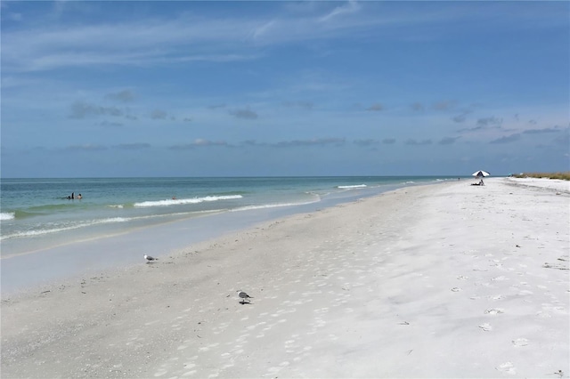 2124 Tamiami Trl N Unit 103, Sarasota, FL 34234 - photo 34