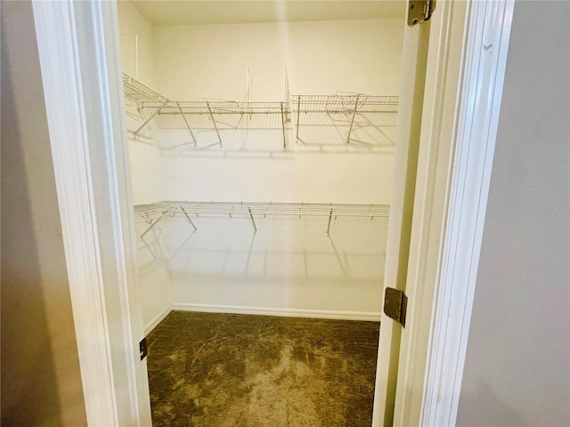 5635 Los Robles Ct, Palmetto, FL 34221 - spacious closet with carpet