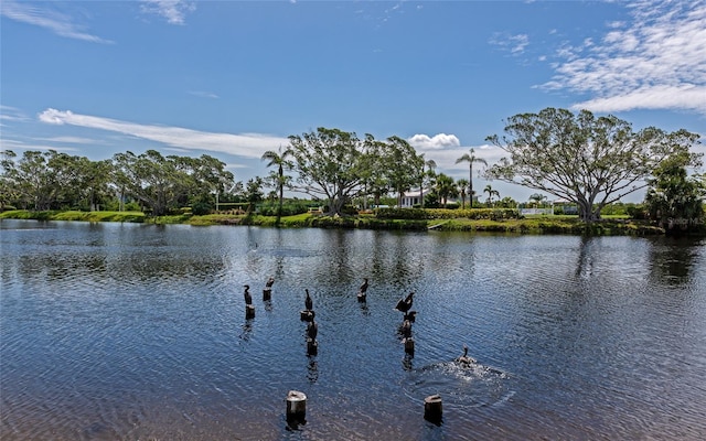 719 Estuary Dr Unit 719, Bradenton, FL 34209 - photo 36