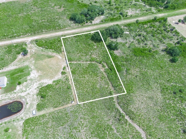21974 NW 276th St, Okeechobee, FL 34972 - photo 6