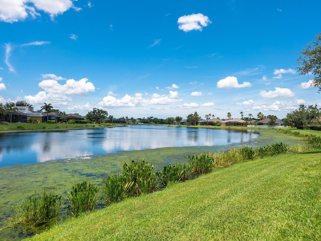 280 Dahlia Ct, Bradenton, FL 34212 - water view