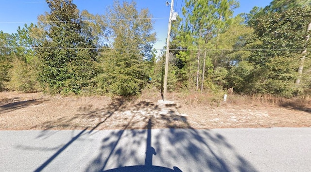 354 Lake Rosemary Ct, Defuniak Springs, FL 32433 - photo 2