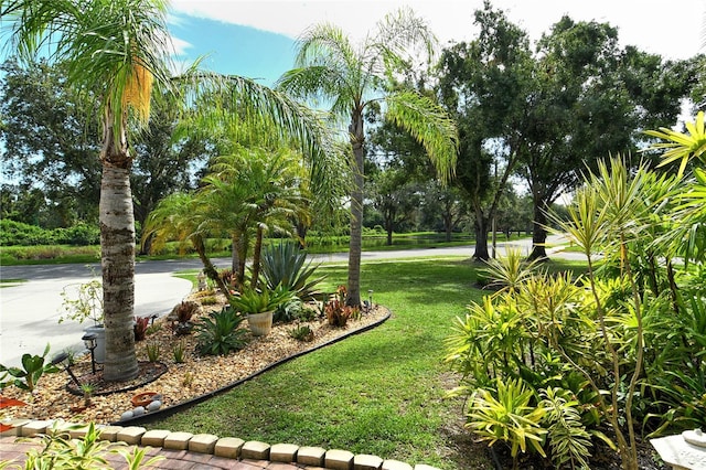 730 137th St NE, Bradenton, FL 34212 - view of grassy yard