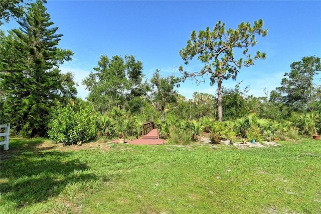 730 137th St NE, Bradenton, FL 34212 - view of grassy yard