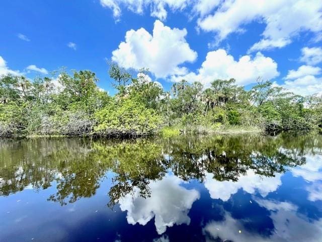 730 137th St NE, Bradenton, FL 34212 - water view featuring a forest