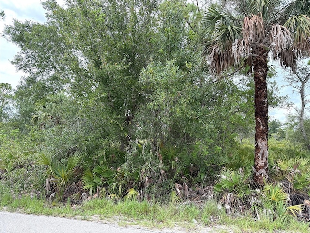 24774 Nova Ln, Punta Gorda, FL 33980