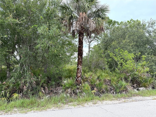 24774 Nova Ln, Punta Gorda, FL 33980