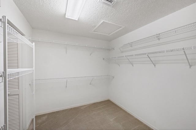 6016 Ferndell St, Bradenton, FL 34203 - photo 19