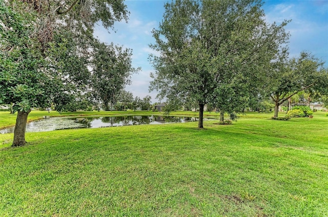 11431 Piedmont Park Xing, Bradenton, FL 34211 - view of green lawn featuring a water view