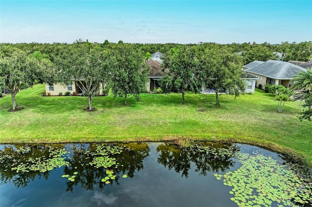 11431 Piedmont Park Xing, Bradenton, FL 34211 - water view