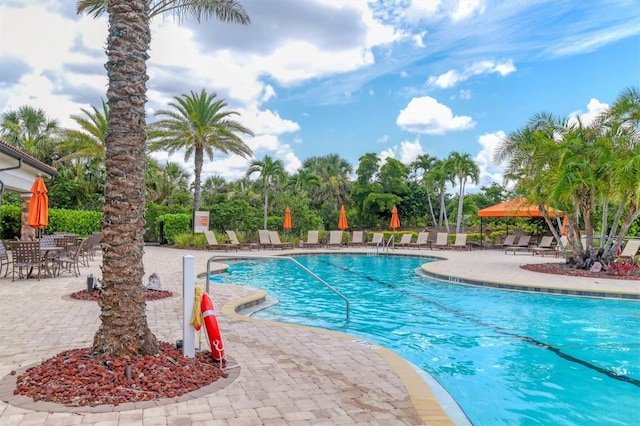 5596 Cantucci St, Nokomis, FL 34275 - community pool with a patio and view of wooded area