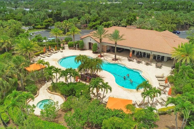 5596 Cantucci St, Nokomis, FL 34275 - community pool featuring a patio