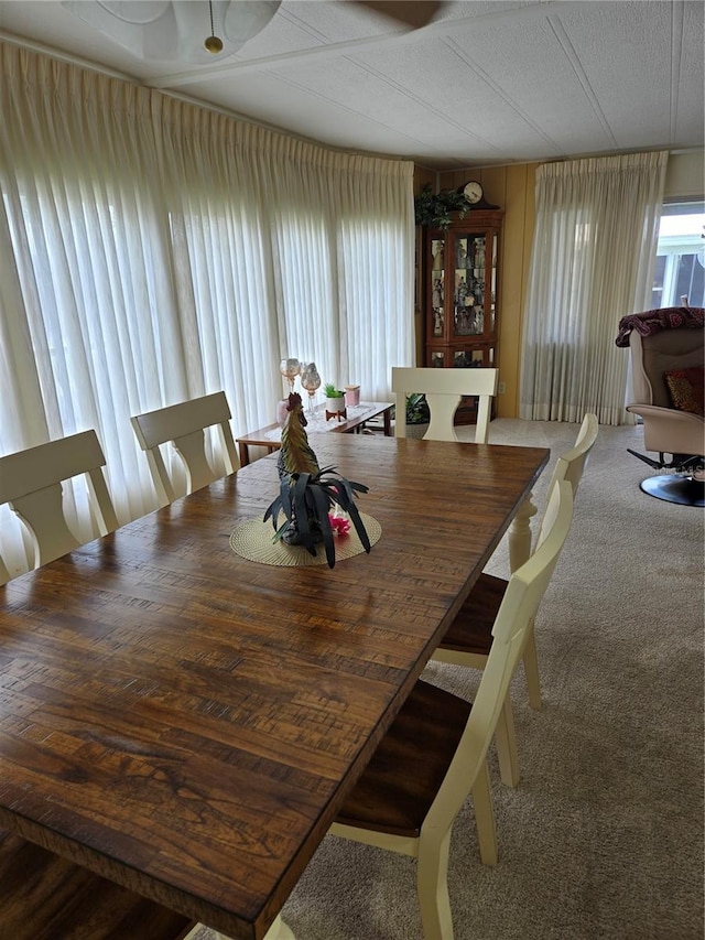 2236 Gondola Dr, Sarasota, FL 34238 - photo 4