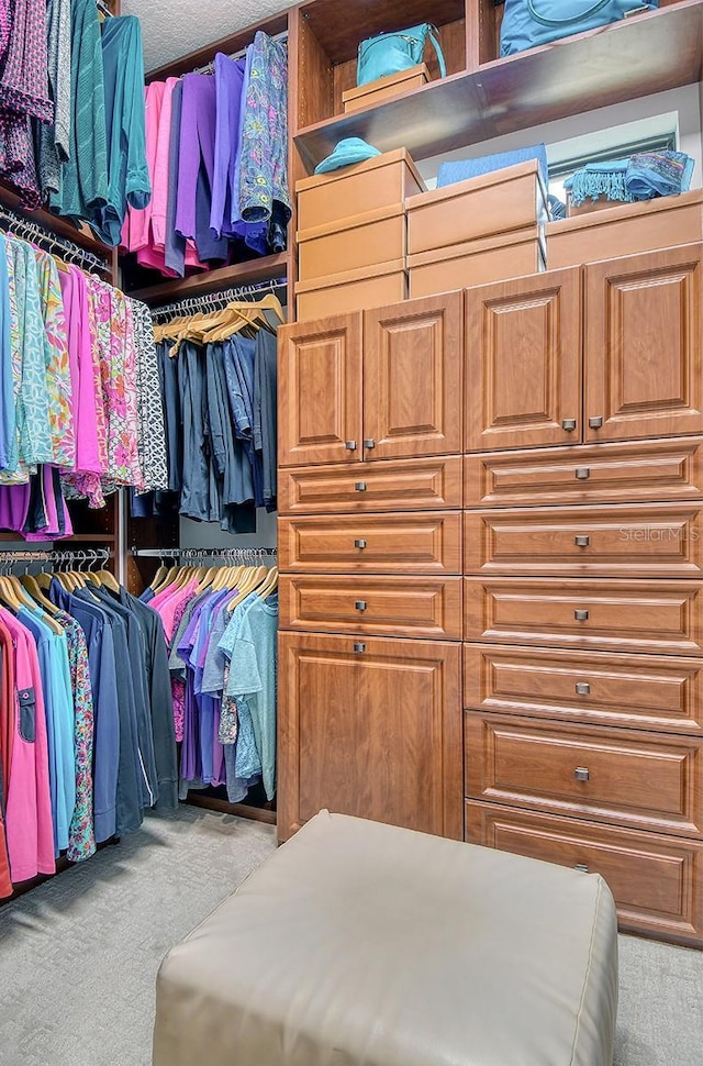 7638 Windy Hill Cv, Bradenton, FL 34202 - spacious closet featuring carpet