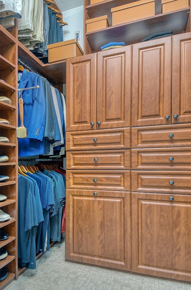 7638 Windy Hill Cv, Bradenton, FL 34202 - walk in closet featuring carpet