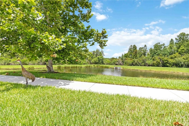 4044 Wisdom Trl, Land O Lakes, FL 34638 - water view