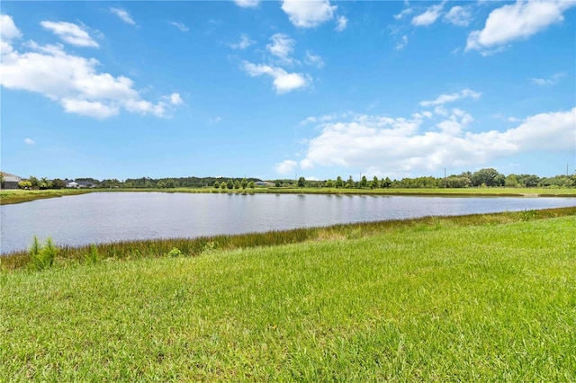 4044 Wisdom Trl, Land O Lakes, FL 34638 - water view