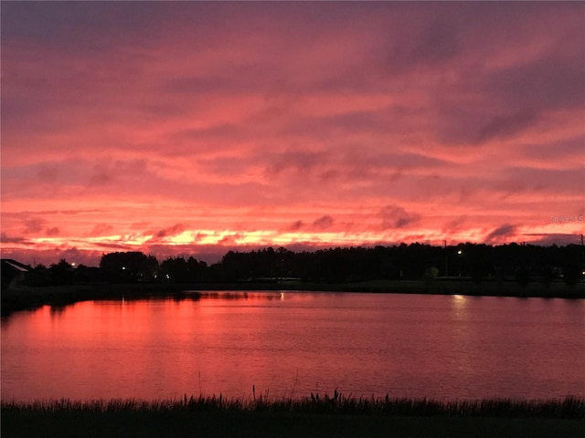 4044 Wisdom Trl, Land O Lakes, FL 34638 - water view