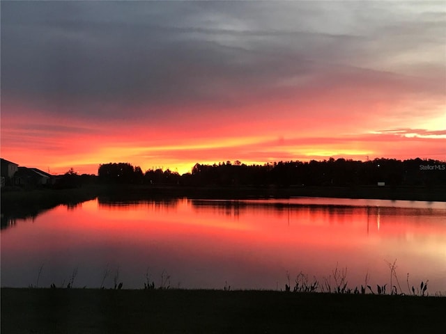 4044 Wisdom Trl, Land O Lakes, FL 34638 - water view