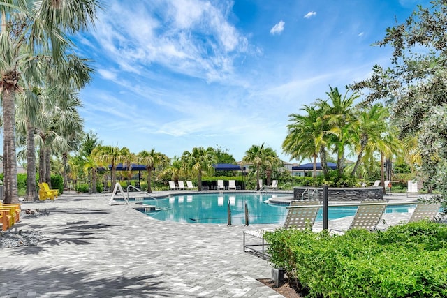 9215 Isabella Cir, Parrish, FL 34219 - community pool with a patio area