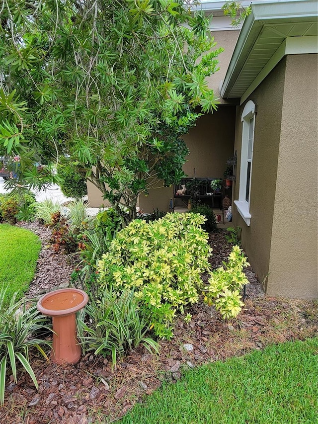 2819 47th St E, Palmetto, FL 34221 - view of yard