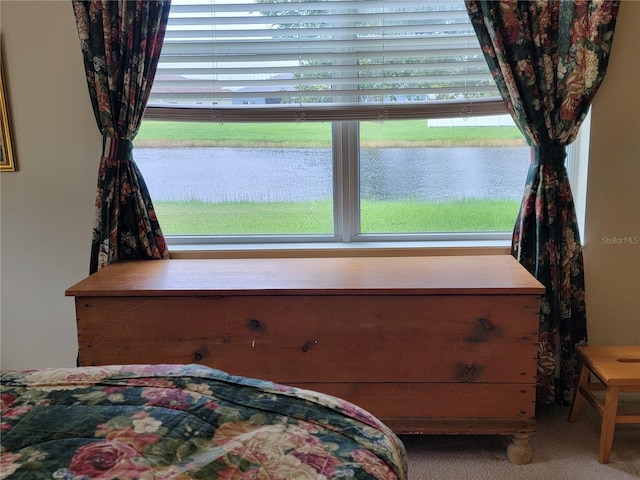 2819 47th St E, Palmetto, FL 34221 - bedroom featuring a water view and carpet