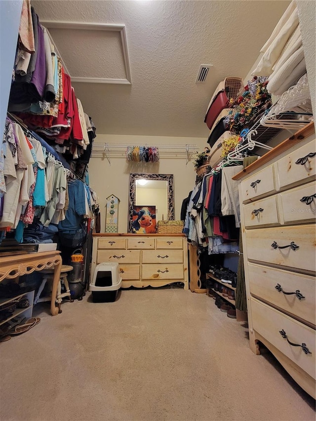 2819 47th St E, Palmetto, FL 34221 - spacious closet featuring attic access