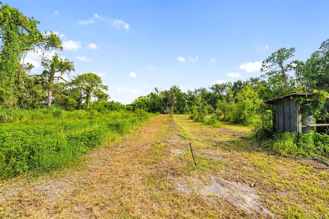 3020 51st Ave E, Bradenton, FL 34203 - view of yard