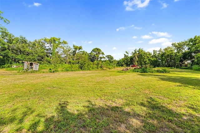 3020 51st Ave E, Bradenton, FL 34203 - view of green lawn