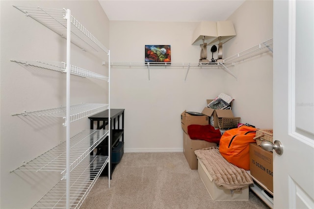 5134 Jackel Chase Dr, Wimauma, FL 33598 - walk in closet featuring carpet