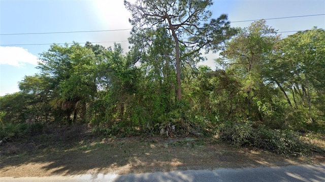1188 S Gettysburg Dr, Homosassa, FL 34448 - photo 1