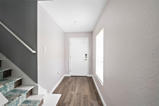 7036 Chatum Light Run, Bradenton, FL 34212 - foyer entrance featuring stairs, wood finished floors, and a textured wall