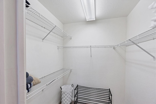 8335 Glenrose Way Unit 1513, Sarasota, FL 34238 - view of walk in closet