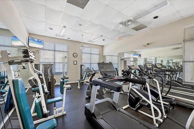 8335 Glenrose Way Unit 1513, Sarasota, FL 34238 - gym with a drop ceiling