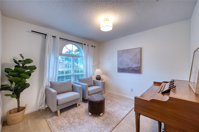 4204 Malickson Dr, Parrish, FL 34219 - sitting room with carpet flooring and a textured ceiling