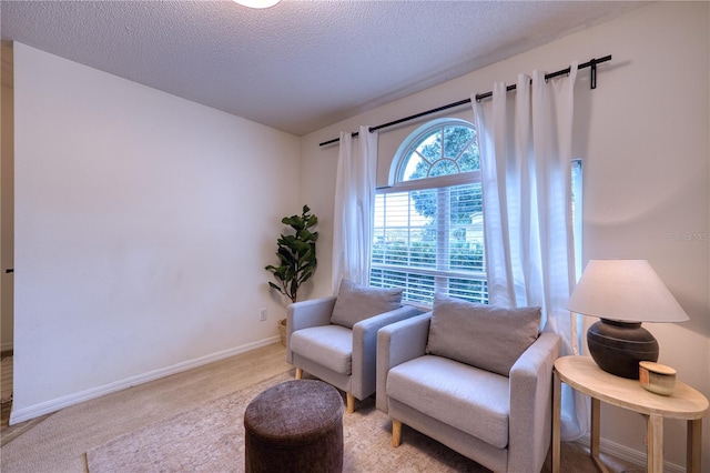 4204 Malickson Dr, Parrish, FL 34219 - living area with a textured ceiling and light carpet