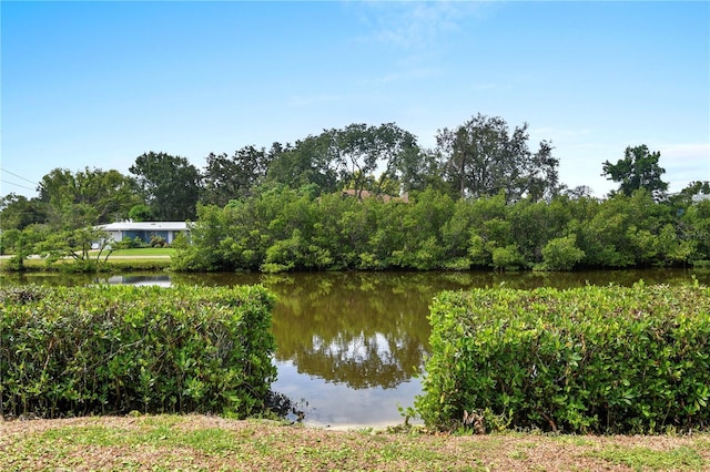 354 Willow Ln, Ellenton, FL 34222 - photo 57