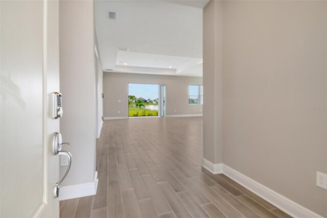14312 Skipping Stone Loop, Parrish, FL 34219 - hallway featuring light wood-type flooring and a raised ceiling