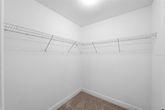 5174 78th St Cir E, Bradenton, FL 34203 - spacious closet with dark carpet