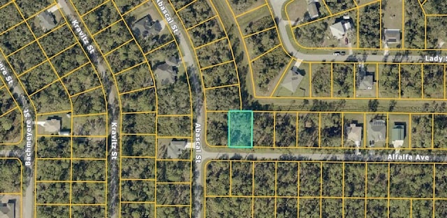 Alfalfa Ave, North Port, FL 34291 - photo 2